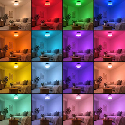 Sixteen colors shown on the same corner of a room